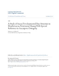 A Study of Ascus Developmental Fine Structure in Eleutherascus Peruvianus Huang with Special Reference to Ascospore Ontogeny