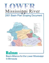 Lower Mississippi River Basin Planning Scoping Document