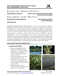 (Myriophyllum Spicatum) and Variable-Leaf Milfoil