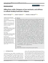Ontogeny of Jaw Mechanics and Stiffness in Mollusk‐Feeding