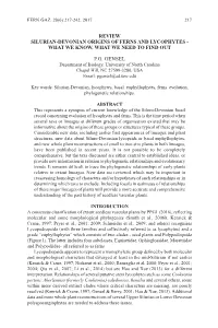 Review Silurian-Devonian Origins of Ferns and Lycophytes - What We Know, What We Need to Find Out