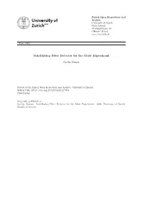 Scintillating Fiber Detector for the Mu3e Experiment