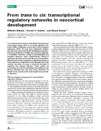 Transcriptional Regulatory Networks in Neocortical Development