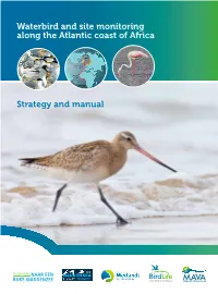 Waterbird and Site Monitoring Along the Atlantic Coast of Africa Strategy