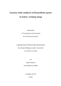 Genome-Wide Analyses of Biosynthetic Genes in Lichen