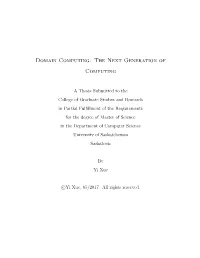 Domain Computing: the Next Generation of Computing