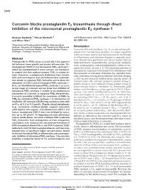 Curcumin Blocks Prostaglandin E2 Biosynthesis Through Direct Inhibition of the Microsomal Prostaglandin E2 Synthase-1
