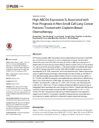 High ABCG4 Expression Is Associated with Poor Prognosis in Non-Small-Cell Lung Cancer Patients Treated with Cisplatin-Based Chemotherapy