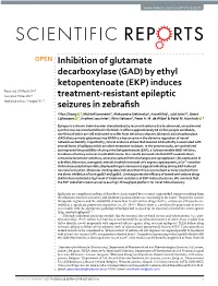 Inhibition of Glutamate Decarboxylase (GAD) by Ethyl Ketopentenoate (EKP)