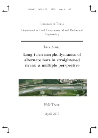 Long Term Morphodynamics of Alternate Bars in Straightened Rivers: a Multiple Perspective