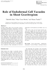 Role of Endodermal Cell Vacuoles in Shoot Gravitropism