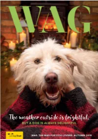 The Weather Outside Is Frightful, but a DOG IS ALWAYS DELIGHTFUL