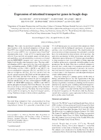 Expression of Intestinal Transporter Genes in Beagle Dogs