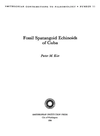Fossil Spatangoid Echinoids of Cuba