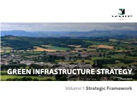 GREEN INFRASTRUCTURE STRATEGY March 2019