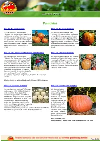 Reimer Seeds Catalog