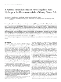 A Dynamic Dendritic Refractory Period Regulates Burst Discharge in the Electrosensory Lobe of Weakly Electric Fish