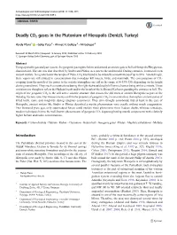 Deadly CO2 Gases in the Plutonium of Hierapolis (Denizli, Turkey)