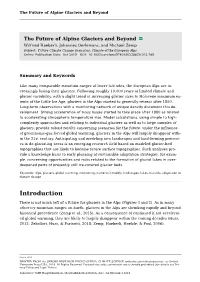 Future of Alpine Glaciers and Beyond