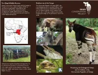 Protecting the Endangered Okapi, and It's Habitat, in the Democratic