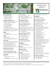 Checklist Reptile and Amphibian