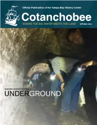 Click Here to View the Newsletter