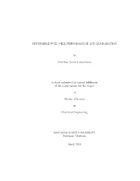 Fuel Cell Performance and Degradation