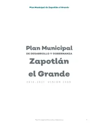 Zapotlán El Grande