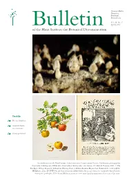 News from the Art Department Exquisite Patterns in Nature