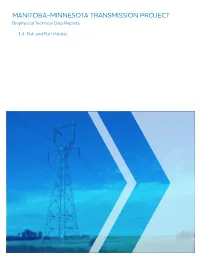 Manitoba-Minnesota Transmission Project Physical Environment