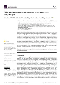 Label-Free Multiphoton Microscopy: Much More Than Fancy Images