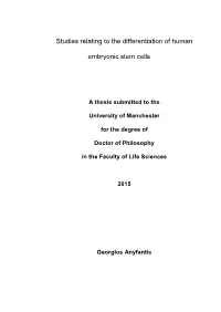 Studies Relating to the Differentiation of Human Embryonic Stem Cells