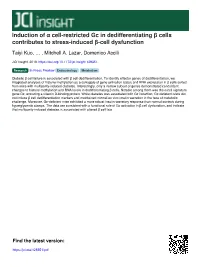 Induction of Α Cell-Restricted Gc in Dedifferentiating Β Cells Contributes to Stress-Induced Β-Cell Dysfunction