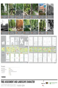 Master Plan BICYCLE-PEDESTRIAN FACILITIES and the GREEN LOOP