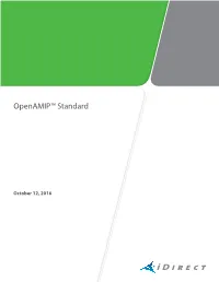 Openamip Standard – Revision B