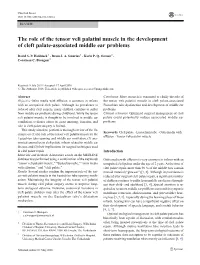 The Role of the Tensor Veli Palatini Muscle in the Development of Cleft Palate-Associated Middle Ear Problems
