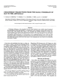 Cholinergic Projections from the Basal Forebrain of Rat to the Amygdala’