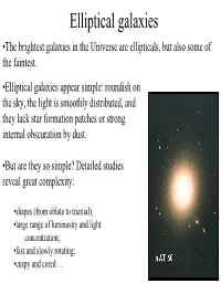 Elliptical Galaxies •The Brightest Galaxies in the Universe Are Ellipticals, but Also Some of the Faintest
