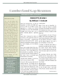 ENDICOTTS in WW I by William T. Endicott