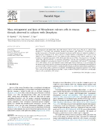 Mass Entrapment and Lysis of Mesodinium Rubrum Cells in Mucus