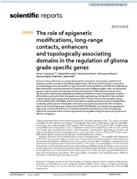The Role of Epigenetic Modifications, Long-Range Contacts, Enhancers
