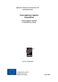 Interrogating Irrigation Inequalities