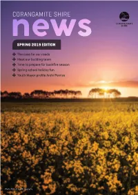 Spring 2019 Edition