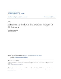 A Preliminary Study on the Interfacial Strength of Red Abalone