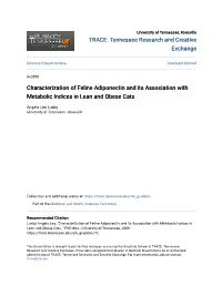Characterization of Feline Adiponectin and Its Association with Metabolic Indices in Lean and Obese Cats
