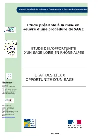Etat Des Lieux Opportunite D'un Sage