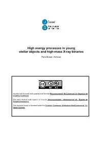 High Energy Processes in Young Stellar Objects and High-Mass X-Ray Binaries