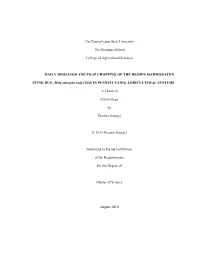 Open Soergel Final Thesis.Pdf