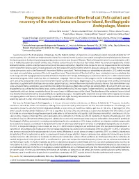 Progress in the Eradication of the Feral Cat (Felis Catus) and Recovery of the Native Fauna on Socorro Island, Revillagigedo Archipelago, Mexico