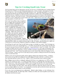 Tips for Catching Small Lake Trout